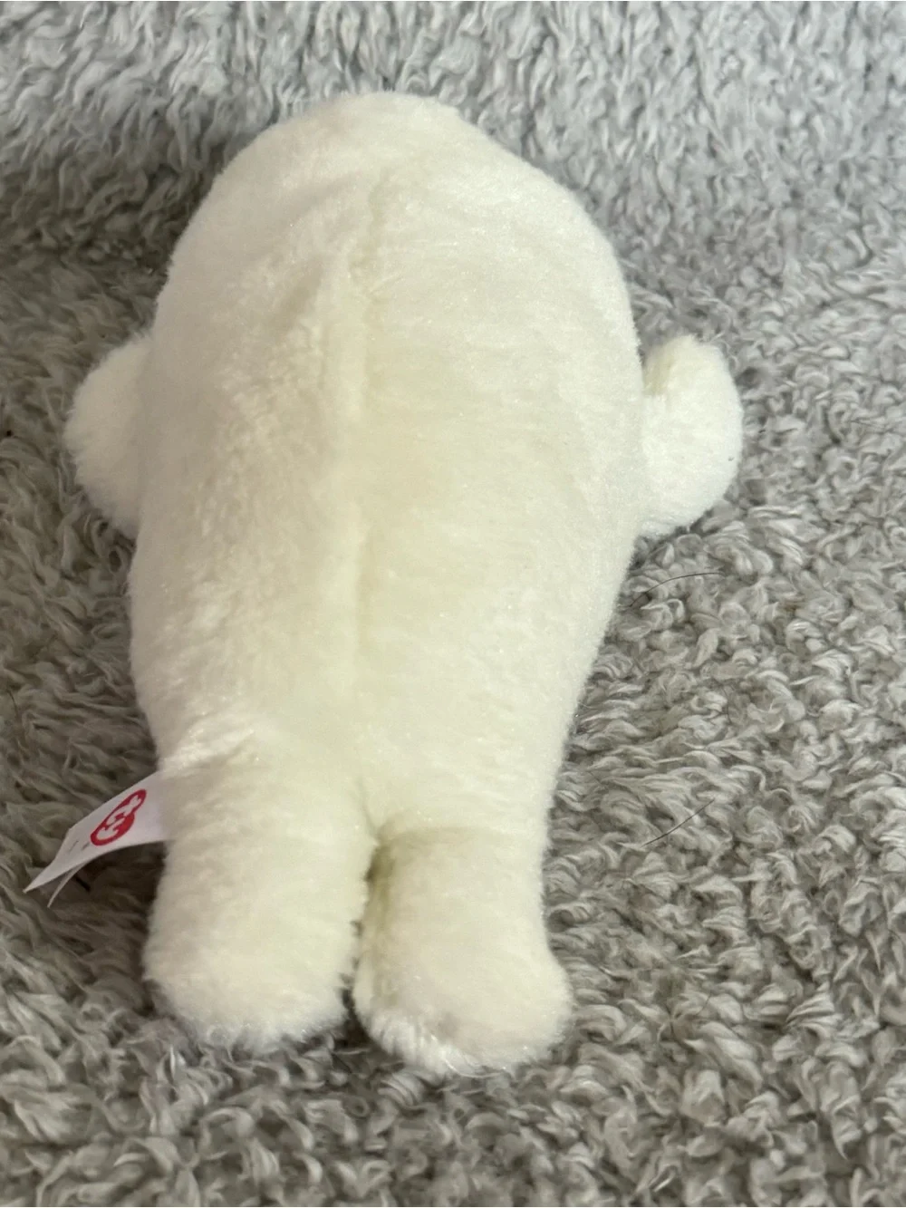 Ty Beanie Boos Icy The White Seal Plush 6” Stuffed Animal Soft Toy